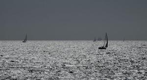 24Schönhageni-F006077