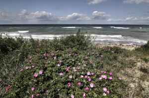 27Kühlungsborn203255KägsdorfStrand