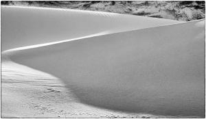 32Texel-XX002794deKrim