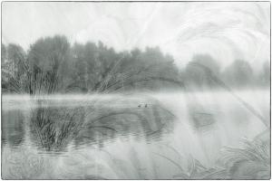 15See-Usedom708897-Schloonsee-2007