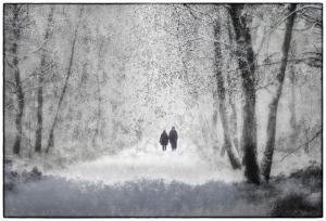 25Wald-Elfenmeer101404-2009