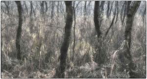 02Elfenmeer-X002400b