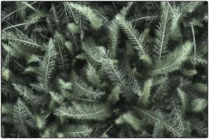 03Umgebung-XX003751b