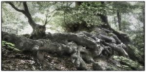 05Umgebung-XX-000482