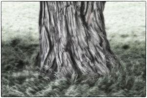 06UmgebungF001801Porselen-neu