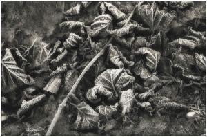 17Umgebung-XX002511b