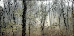 19Elfenmeer-XX004589