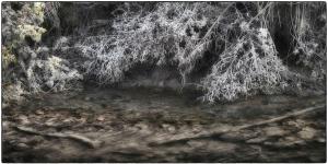 23Umgebung-XX004739b