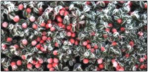 27Umgebung-XX-002197b