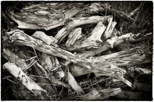 28Umgebung-XX004889Acros-a