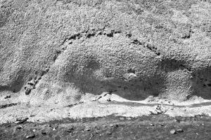 21Ruegen-X004180Kreidekueste