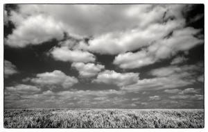 03HeinsbergF005664Dremmen