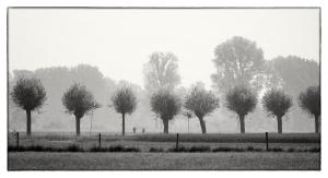 05Heinsberg-F005200-Horst