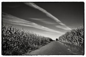 13Heinsberg-X001497-Porselen