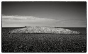 25Heinsberg-X003244-Dremmen